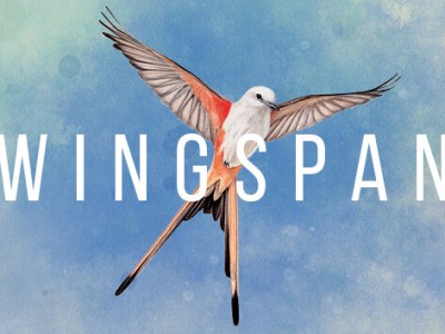 Wingspan – A Relaxing Summer&nbsp;Pastime
