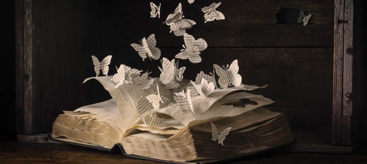 Books for Readers Young and&nbsp;Old